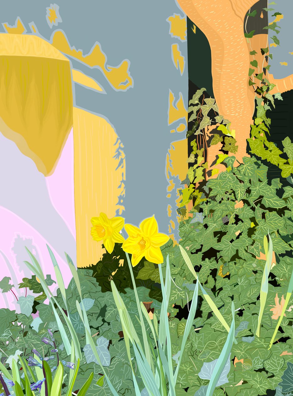 Two Daffodils, c.2020-24 by Evan Sklar