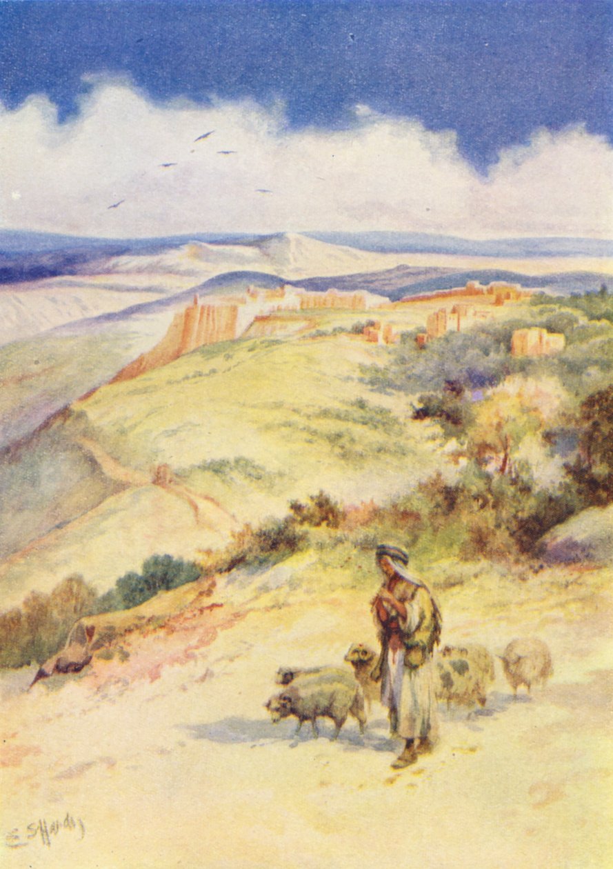 David the Shepherd Boy by Evelyn Stuart Hardy