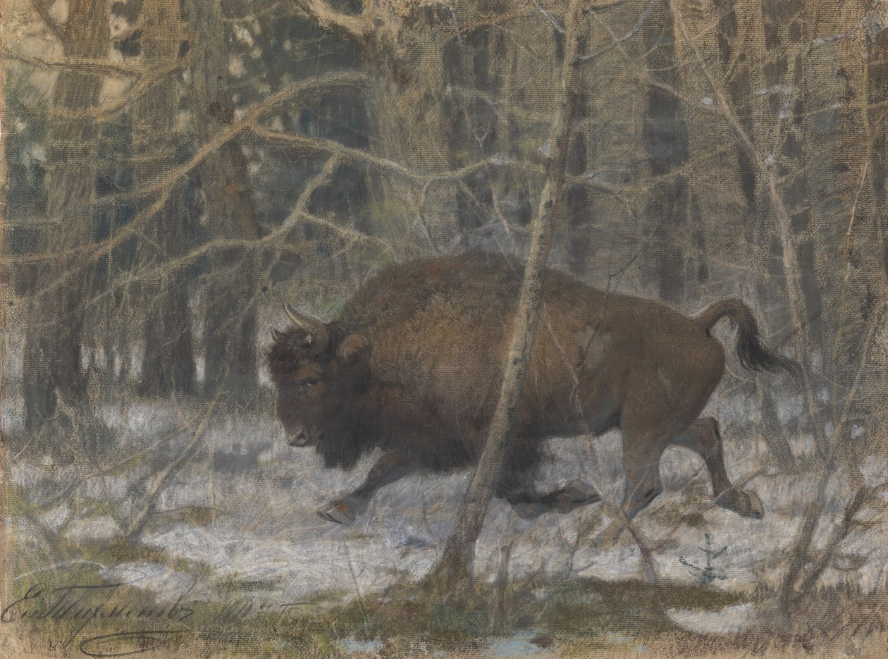 The wood bison by Evgeny Alexandrovich Tichmenev