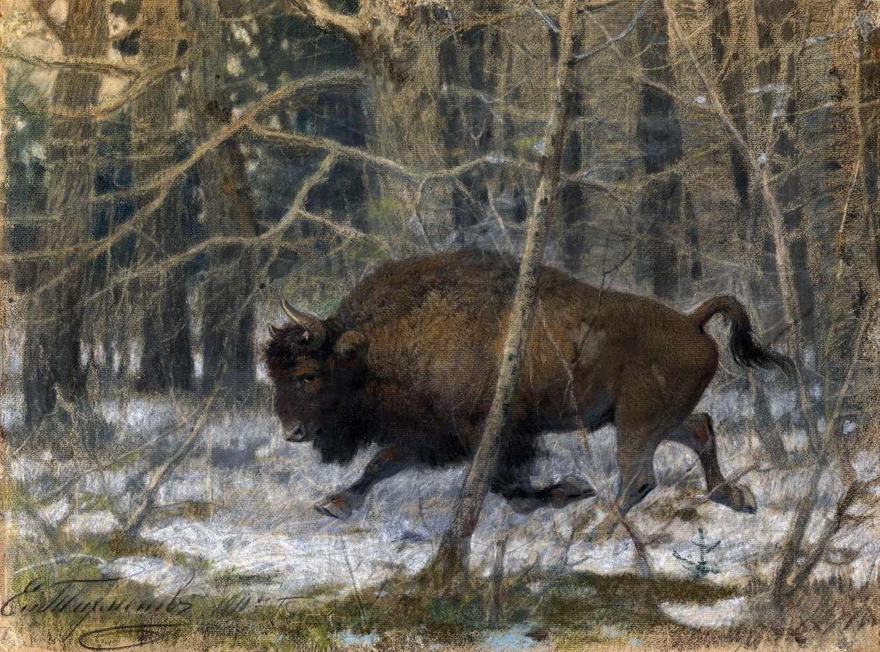 The Wood Bison by Evgeny Alexandrovich Tikhmenev