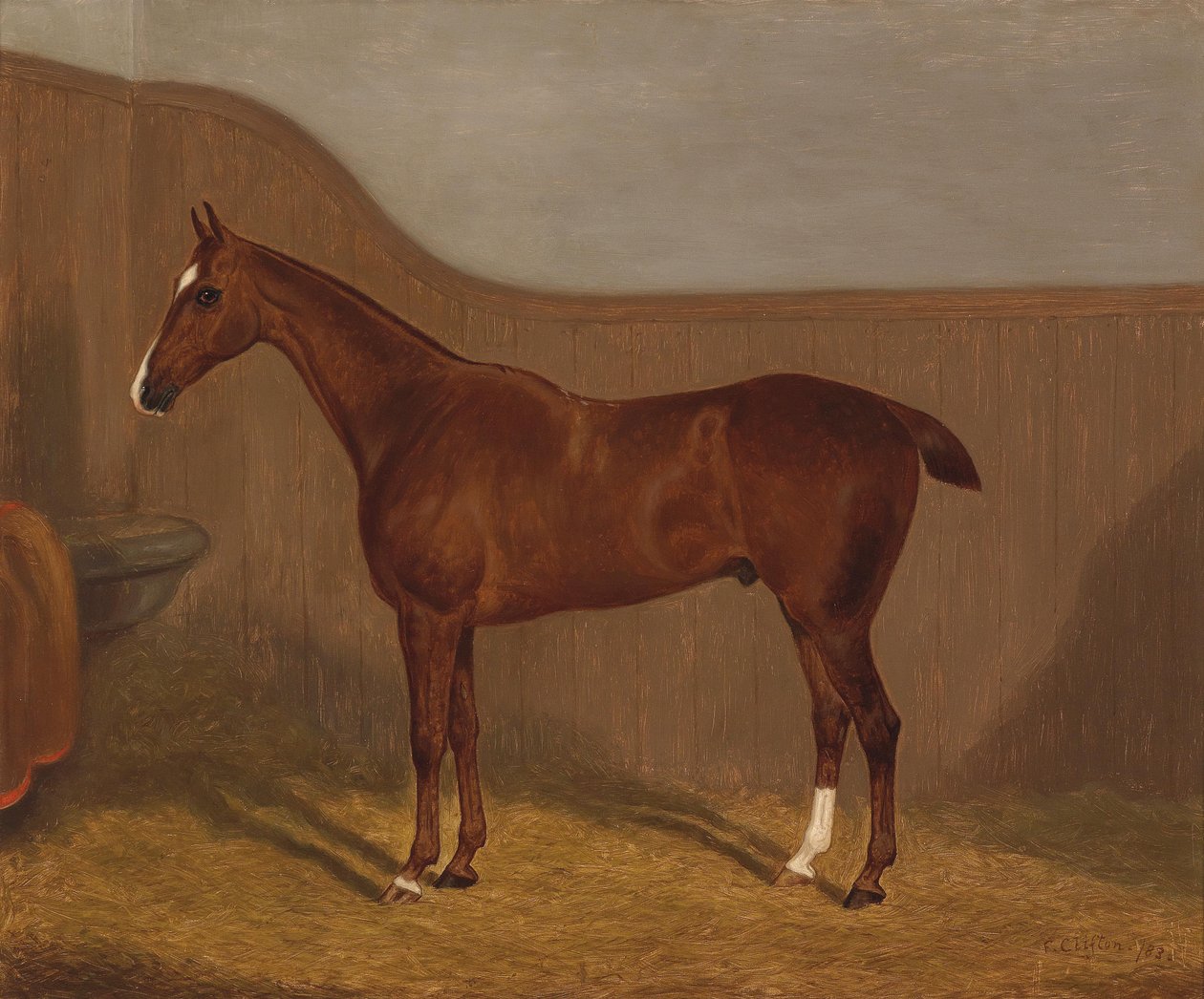 Horse Portrait (Lady Oswestry or Dandy, One of Two Paintings Offered in a Lot with These Titles) by F. Clifton