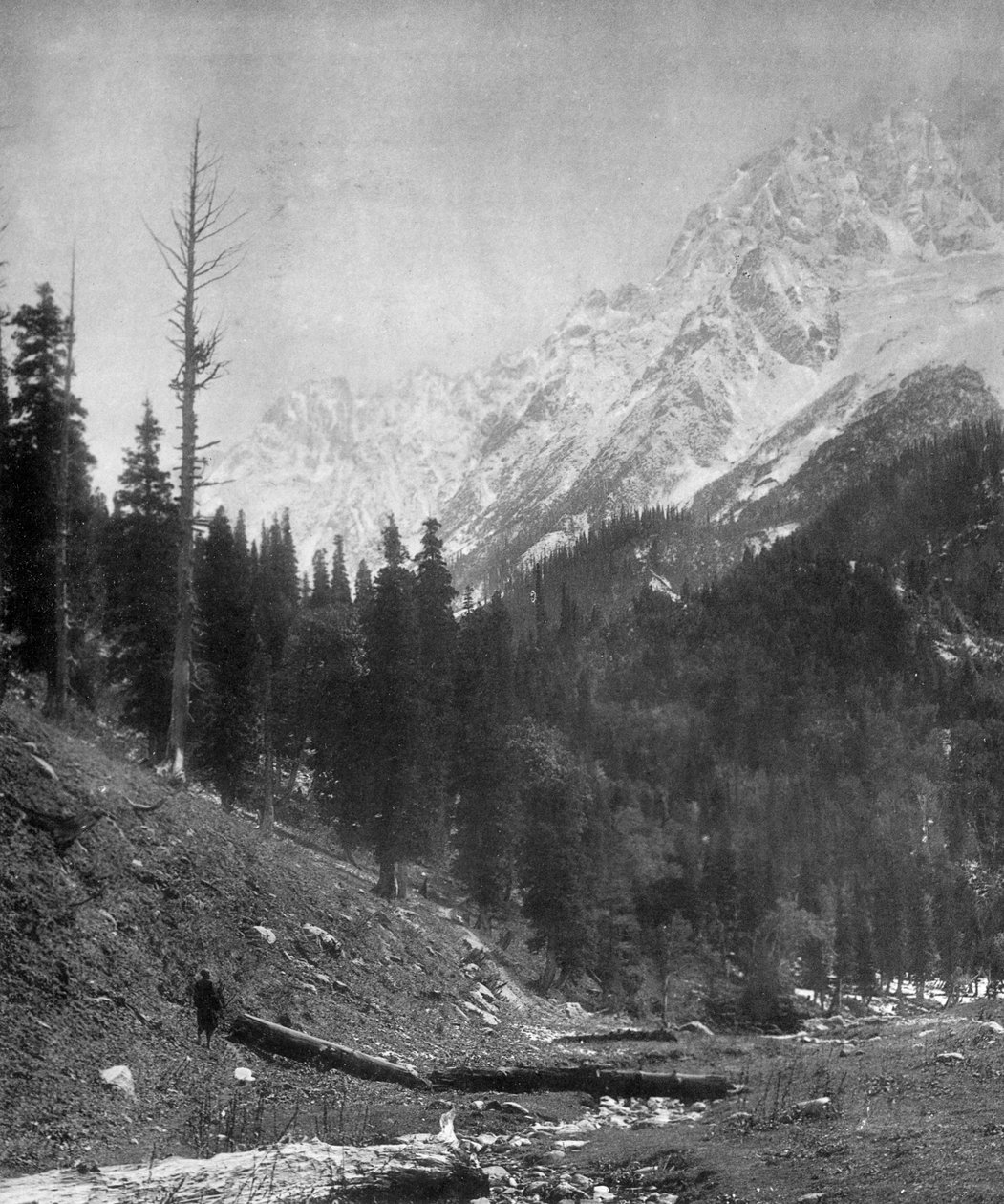 Sindh Valley Glaciers, Kashmir, India, Early 20th Century by F. Bremner