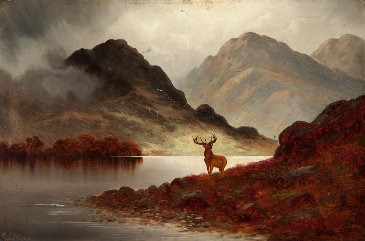 Stag at Bay by F. Carl