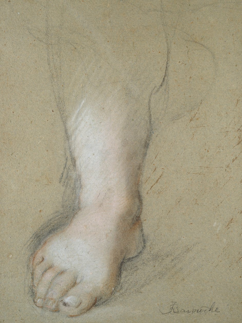 Study of a Foot by Federico Barocci