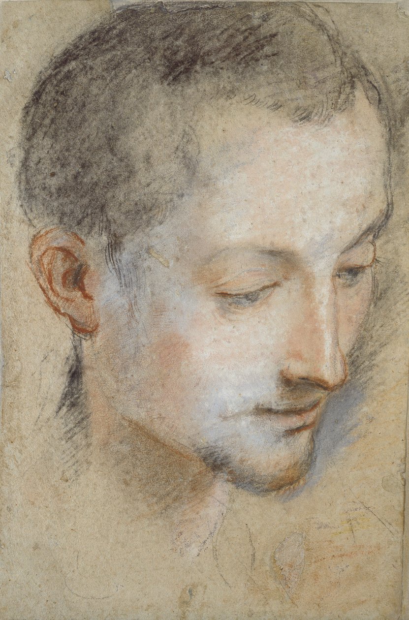 Study of a young Man