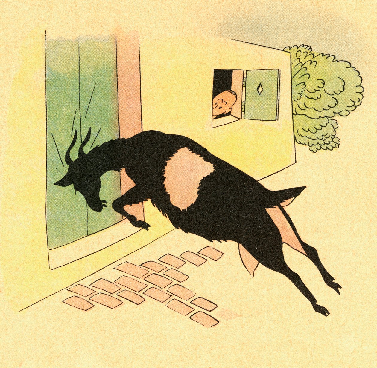 Colour illustration by Federico Ribas Montenegro by Federico Ribas Montenegro