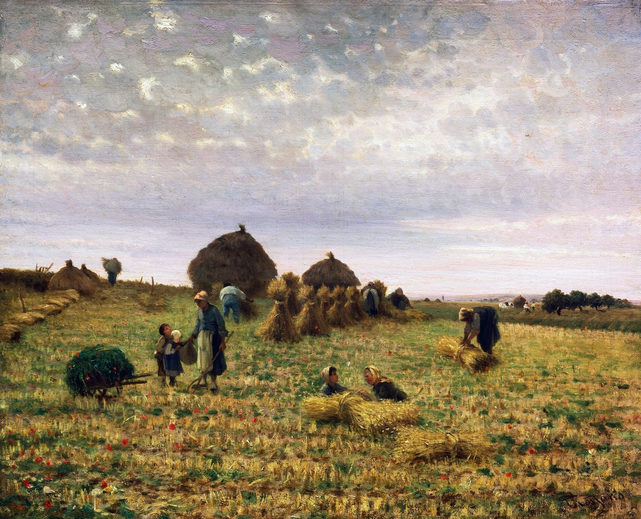 Harvest by Federico Rossano
