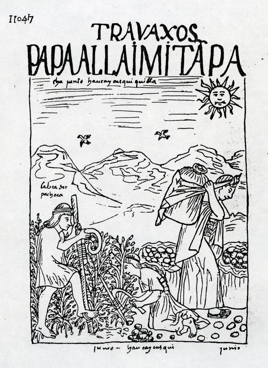 The Month of June, Harvesting the Potatoes by Felipe Huaman Poma de Ayala