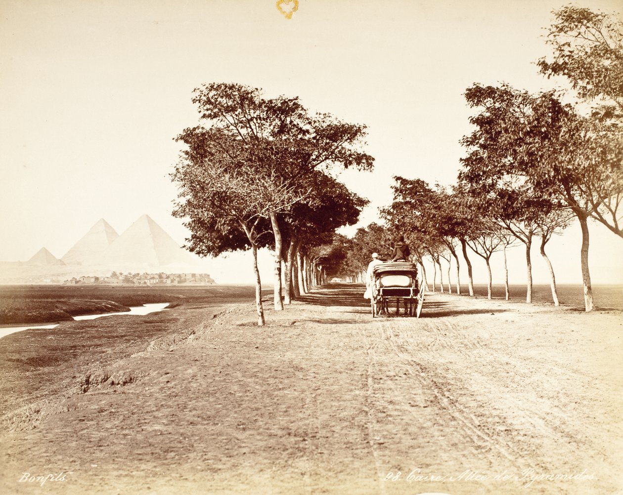 Cairo, Avenue of the Pyramids #98 by Félix Bonfils