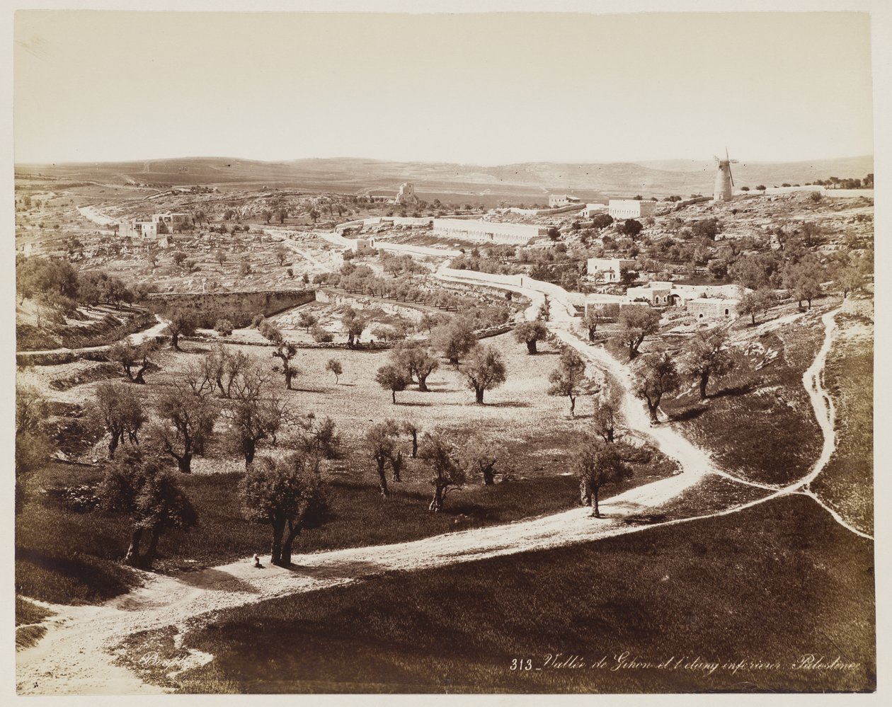 Valley of ... Palestine #313 by Félix Bonfils