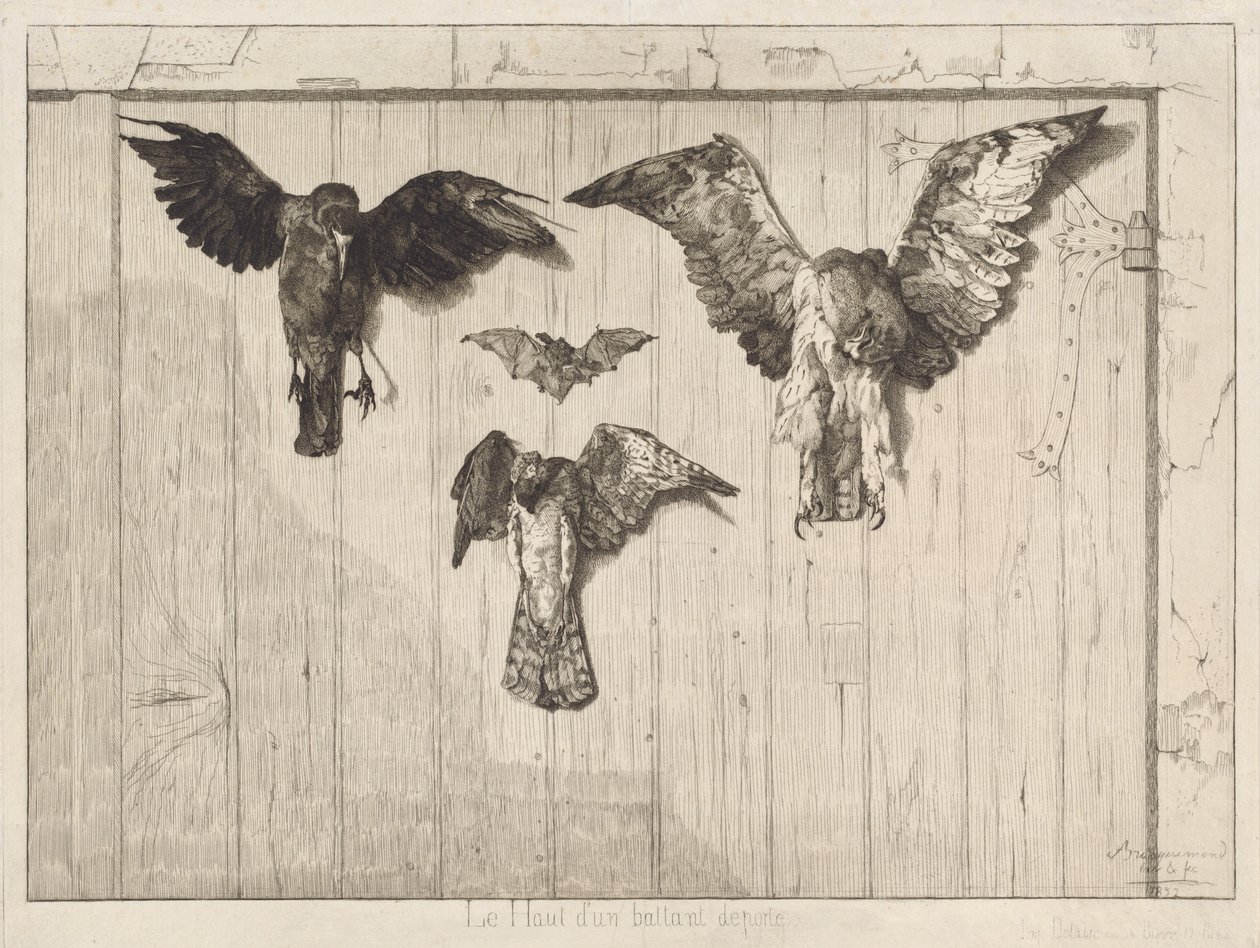 Birds Nailed to a Barn Door by Felix Bracquemond