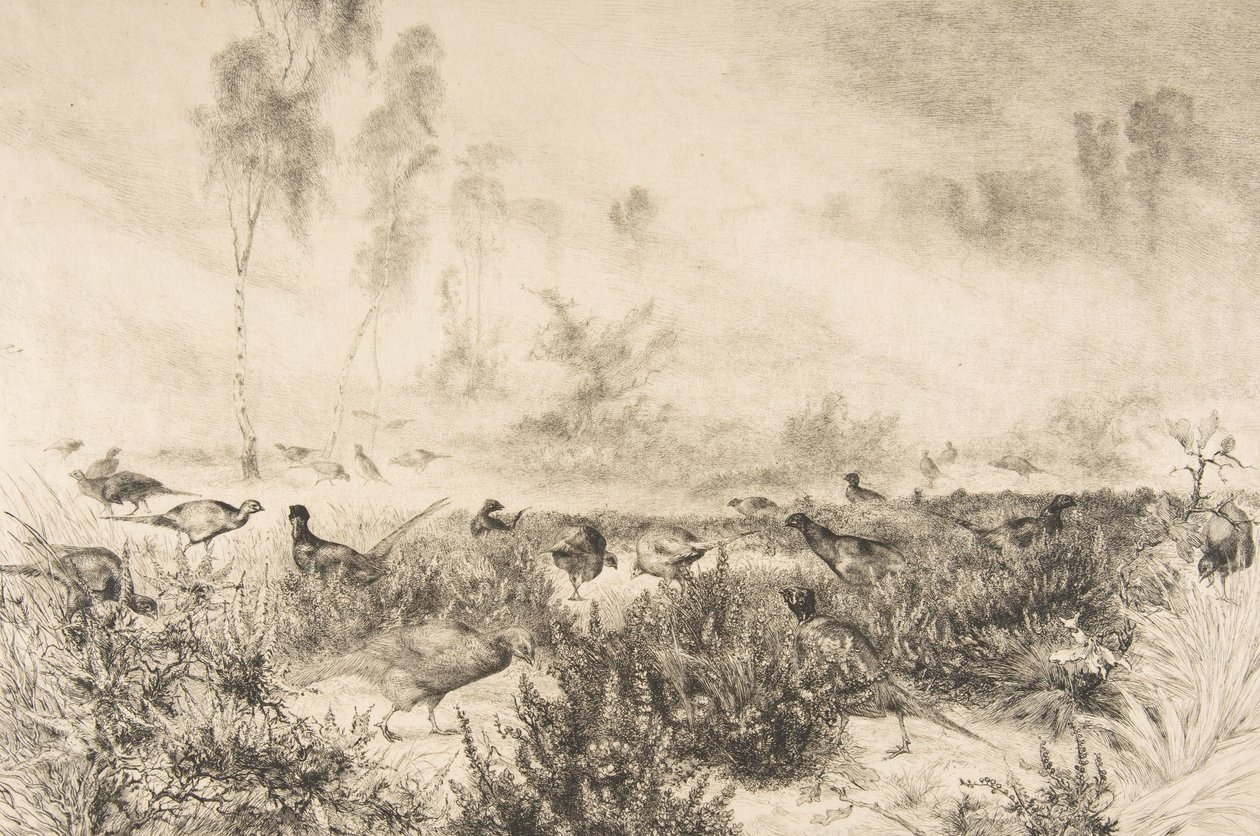 Morning Mists, 1882 by Felix Bracquemond