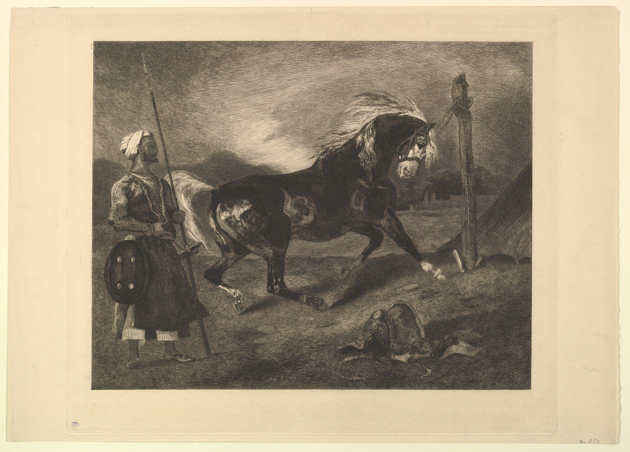 Arabian Horse at the Stake, after Delacroix by Felix Bracquemond
