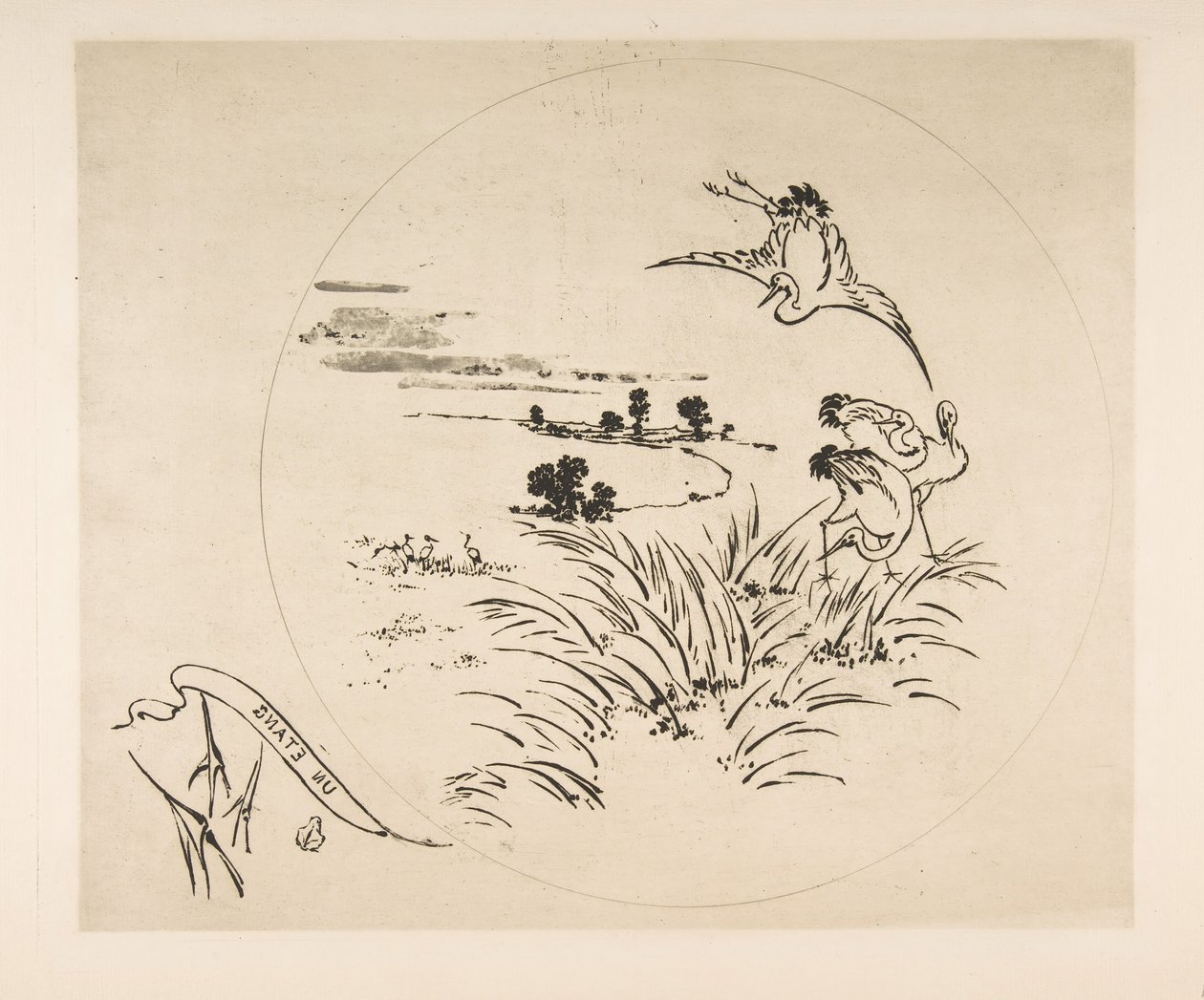 Decoration for a Plate: A Pond, 1870 by Felix Bracquemond