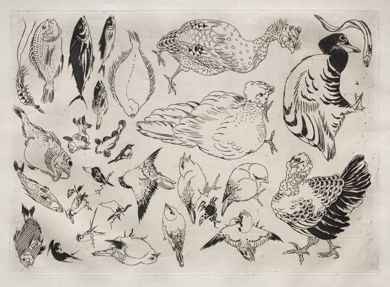 Dinner Service (Rousseau service): Ducks, Fish, etc. (no. 12) by Felix Bracquemond