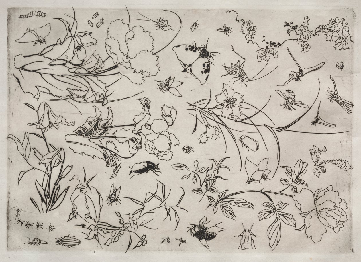 Dinner Service (Rousseau service): Flowers and Insects (no. 15) by Felix Bracquemond