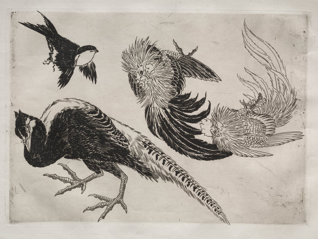 Dinner Service (Rousseau service): Pheasants and Bird (no. 18) by Felix Bracquemond