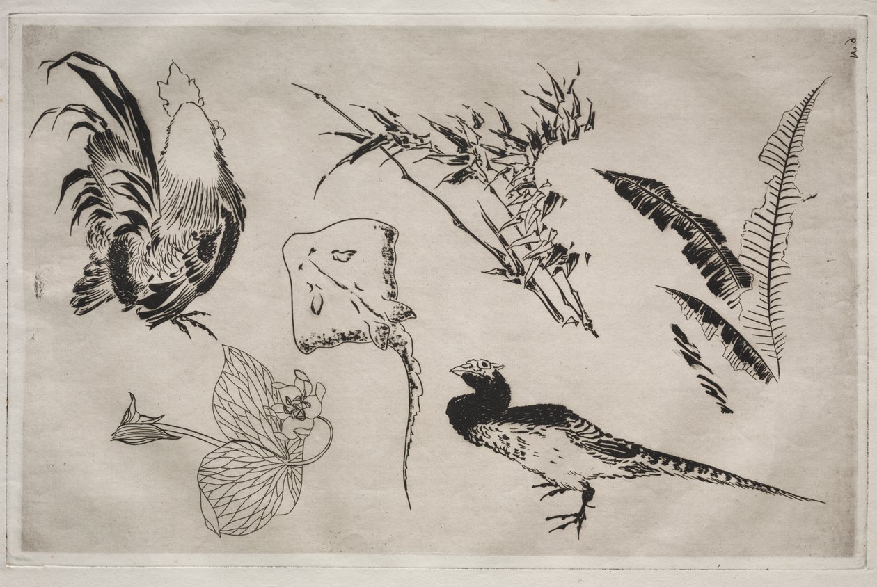 Dinner Service (Rousseau service): Roosters, Skate, Plants, etc. (no. 9) by Felix Bracquemond