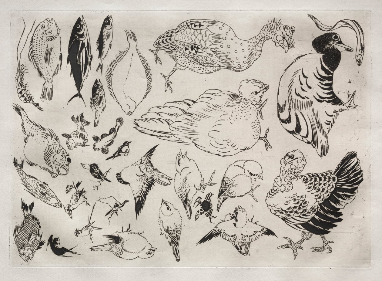 Dinner Service Rousseau Service: Ducks, Fish, etc. No. 12, 1866 by Felix Bracquemond