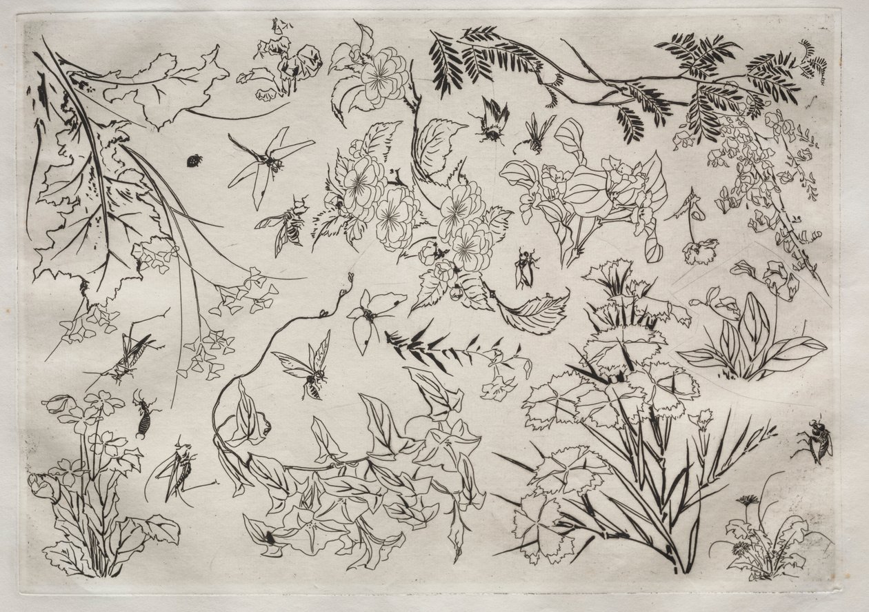 Dinner Service Rousseau Service: Flowers No. 22 by Felix Bracquemond