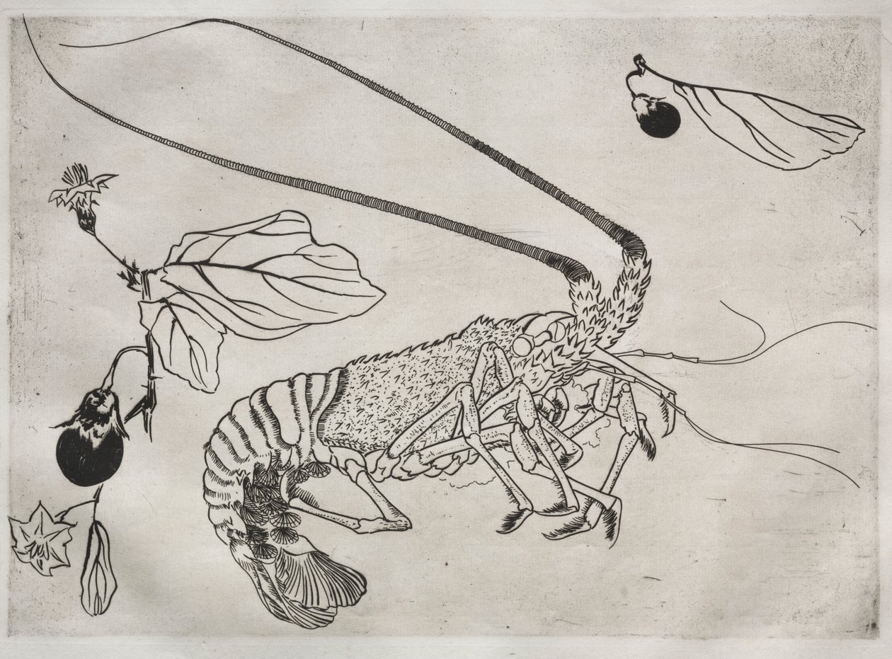 Dinner Service Rousseau Service: Large Lobster with Raised Antenna No. 21 by Felix Bracquemond