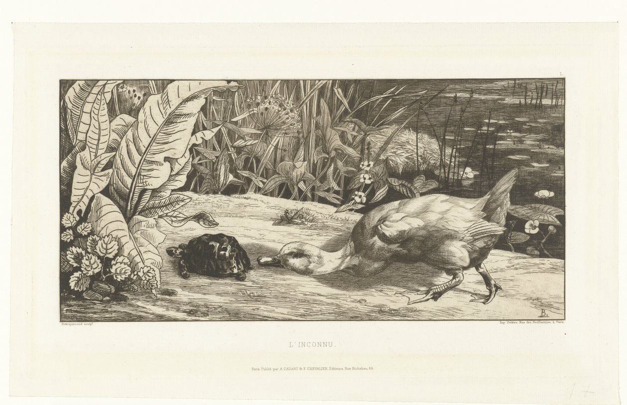 Duck and Turtle on the Bank of a Ditch by Felix Bracquemond