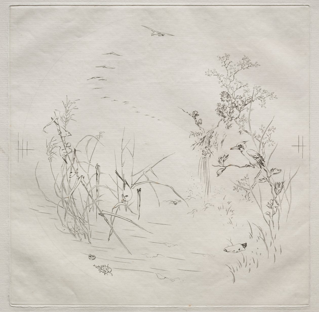 Parisian Service: Calm (no. 3) by Felix Bracquemond