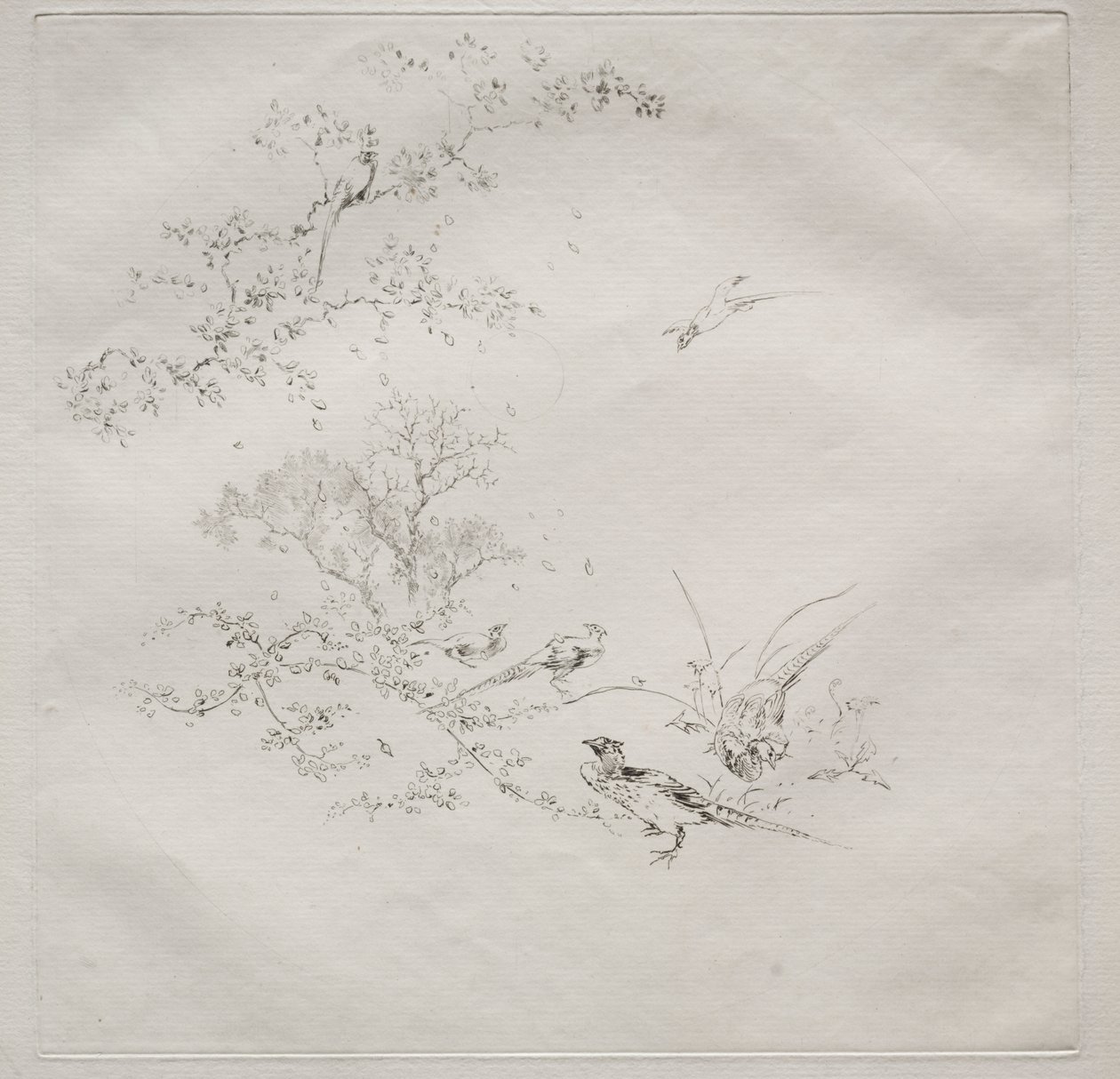 Parisian Service (Haviland service): Fog (no. 1) by Felix Bracquemond