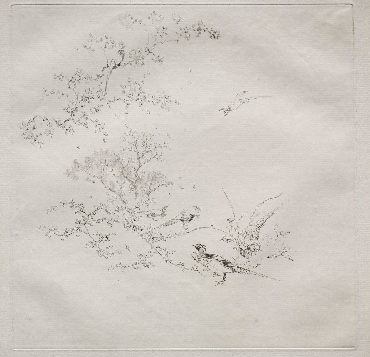 Parisian Service Haviland service: Fog no. 1, 1875 by Felix Bracquemond