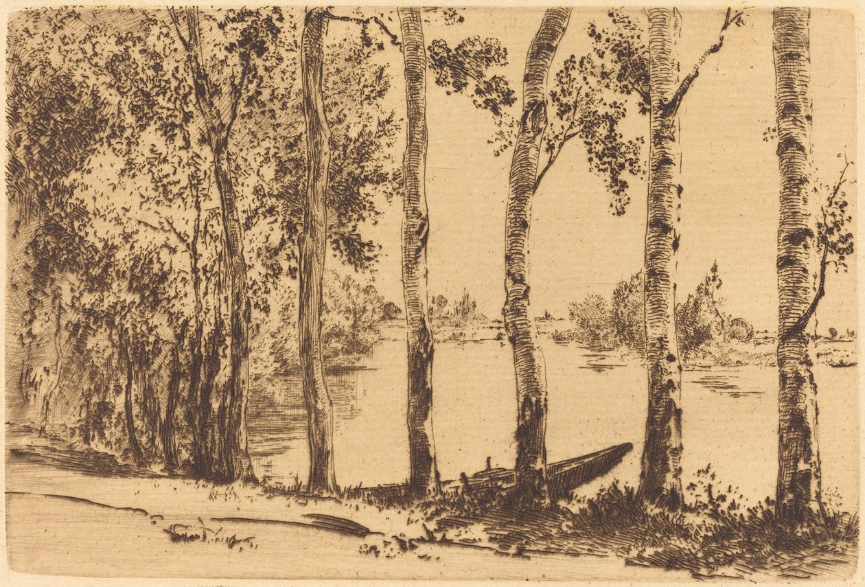 Poplars Along the Seine by Felix Bracquemond