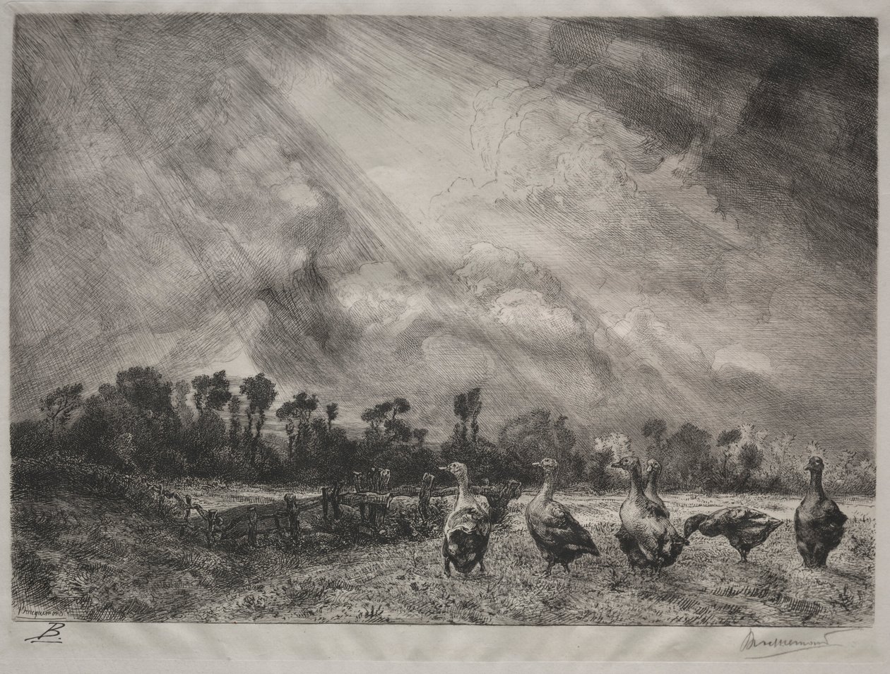 The Storm Cloud, 1878-1887 by Felix Bracquemond