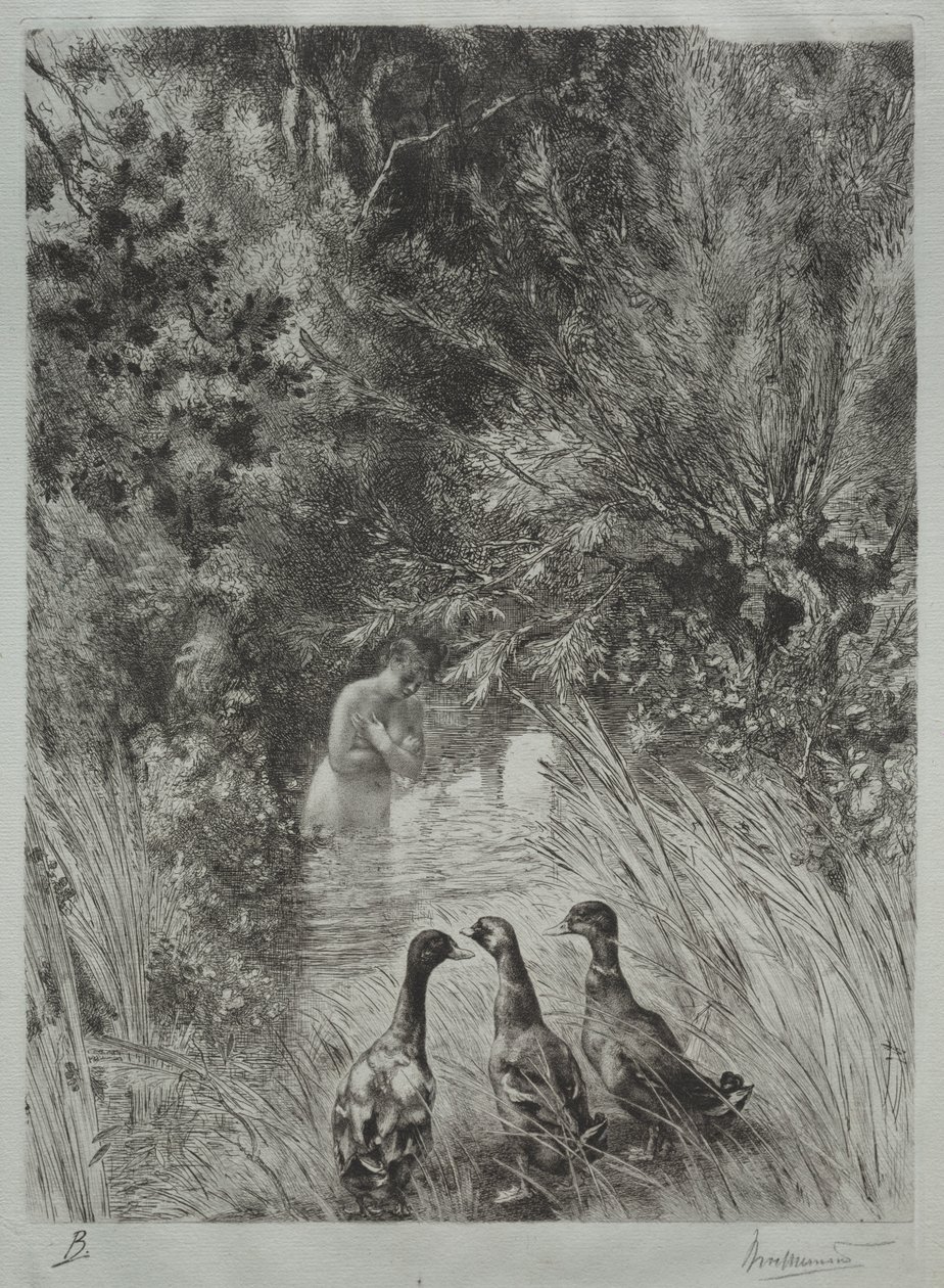 The Surprised Ducks by Felix Bracquemond