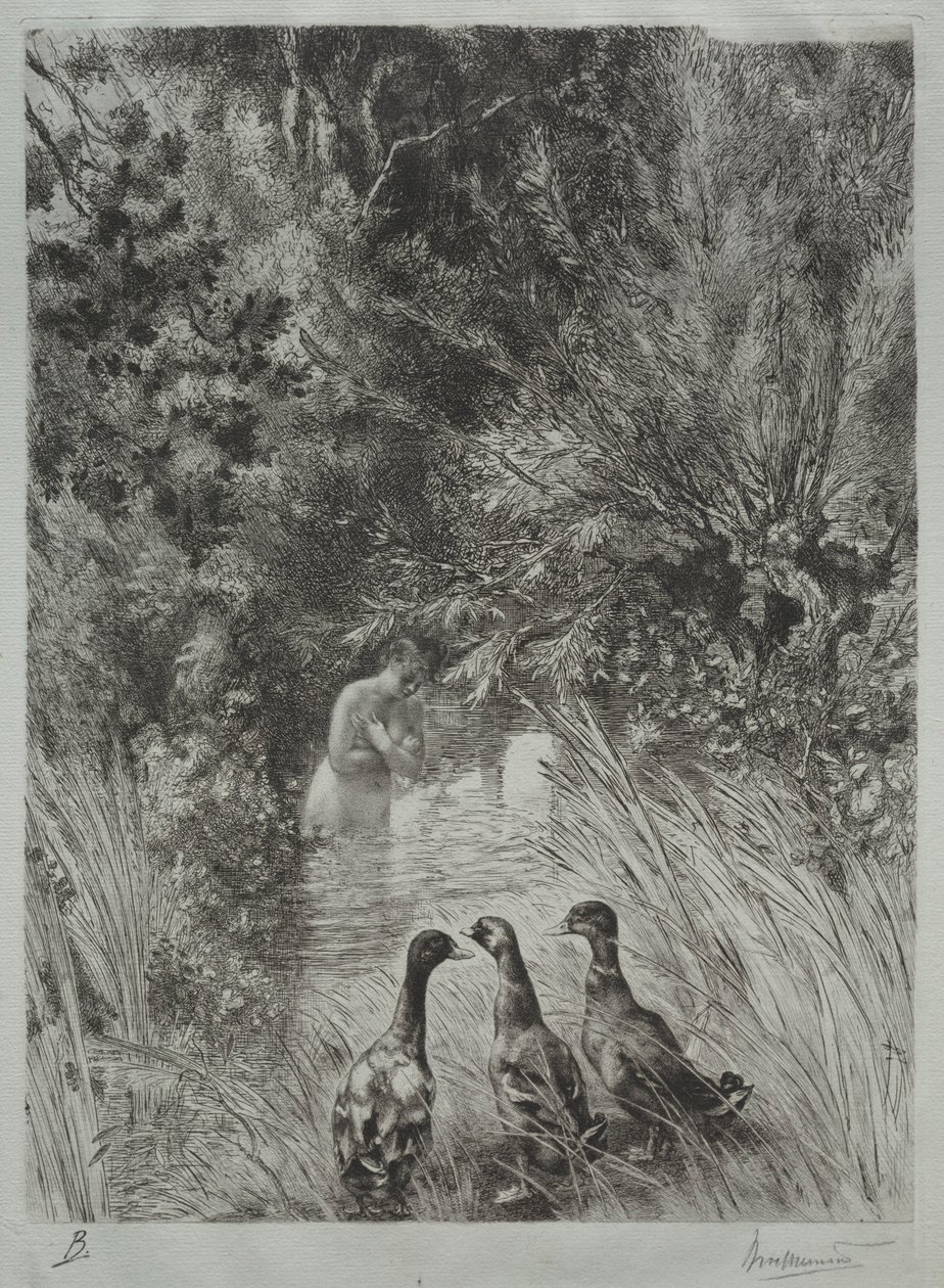 The Surprised Ducks by Felix Bracquemond