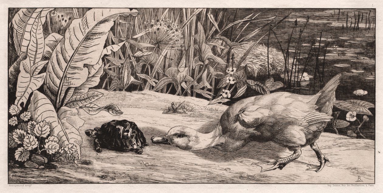 The Unknown by Felix Bracquemond