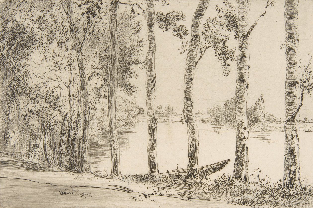 Trembles on the Banks of the Seine, ca. 1884 by Felix Bracquemond