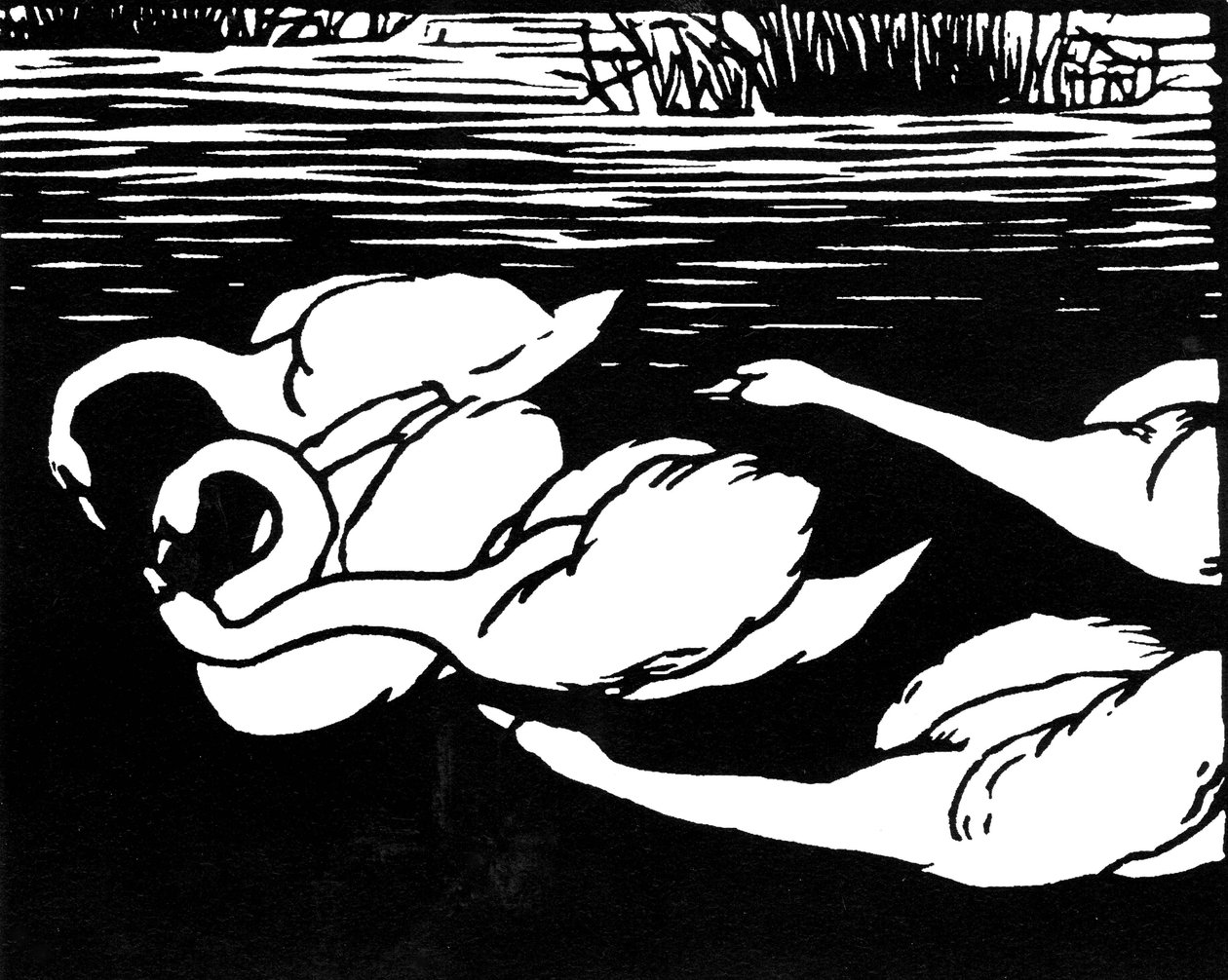 Swans, 1892 by Felix Edouard Vallotton