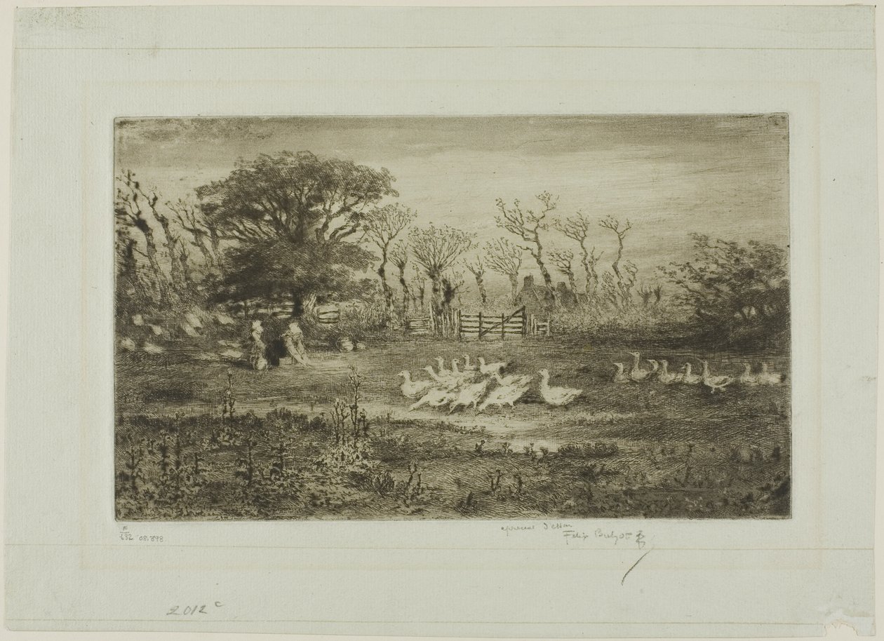 Geese by Felix Hilaire Buhot