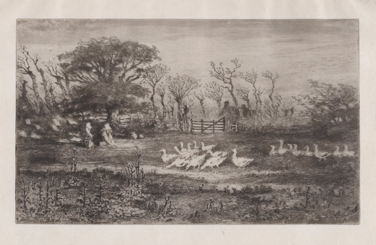 Geese by Felix Hilaire Buhot