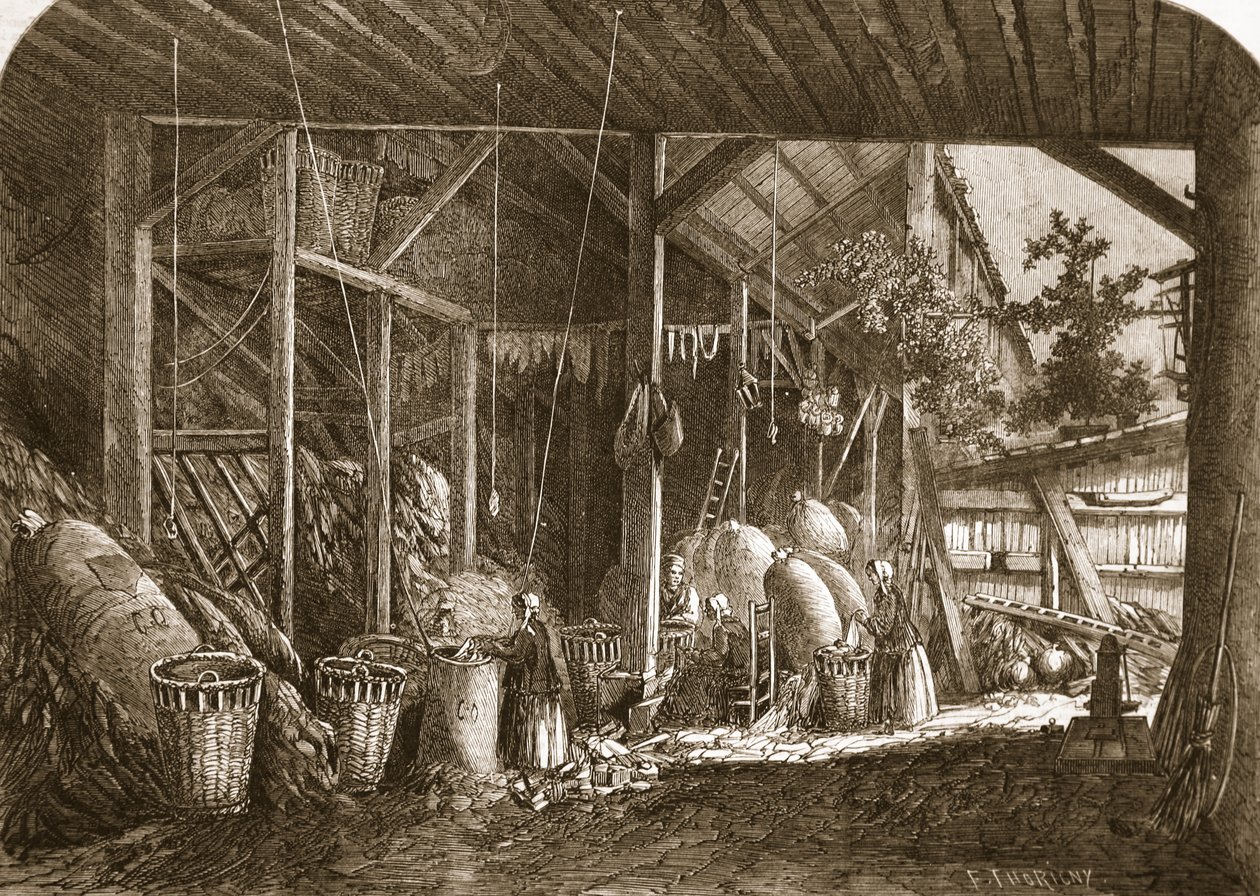 A Rag-Warehouse in the Quartier Mouffetard, at Paris, Illustration from 