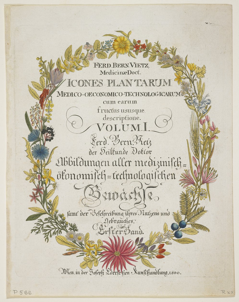 Frontispiece and Title Page, Vol. I, from Icones Plantarum Medico-Oeconomico-Technologicarum cum Earum Fructus ususque Descriptione, 1800 by Ferdinand Bernhard Vietz