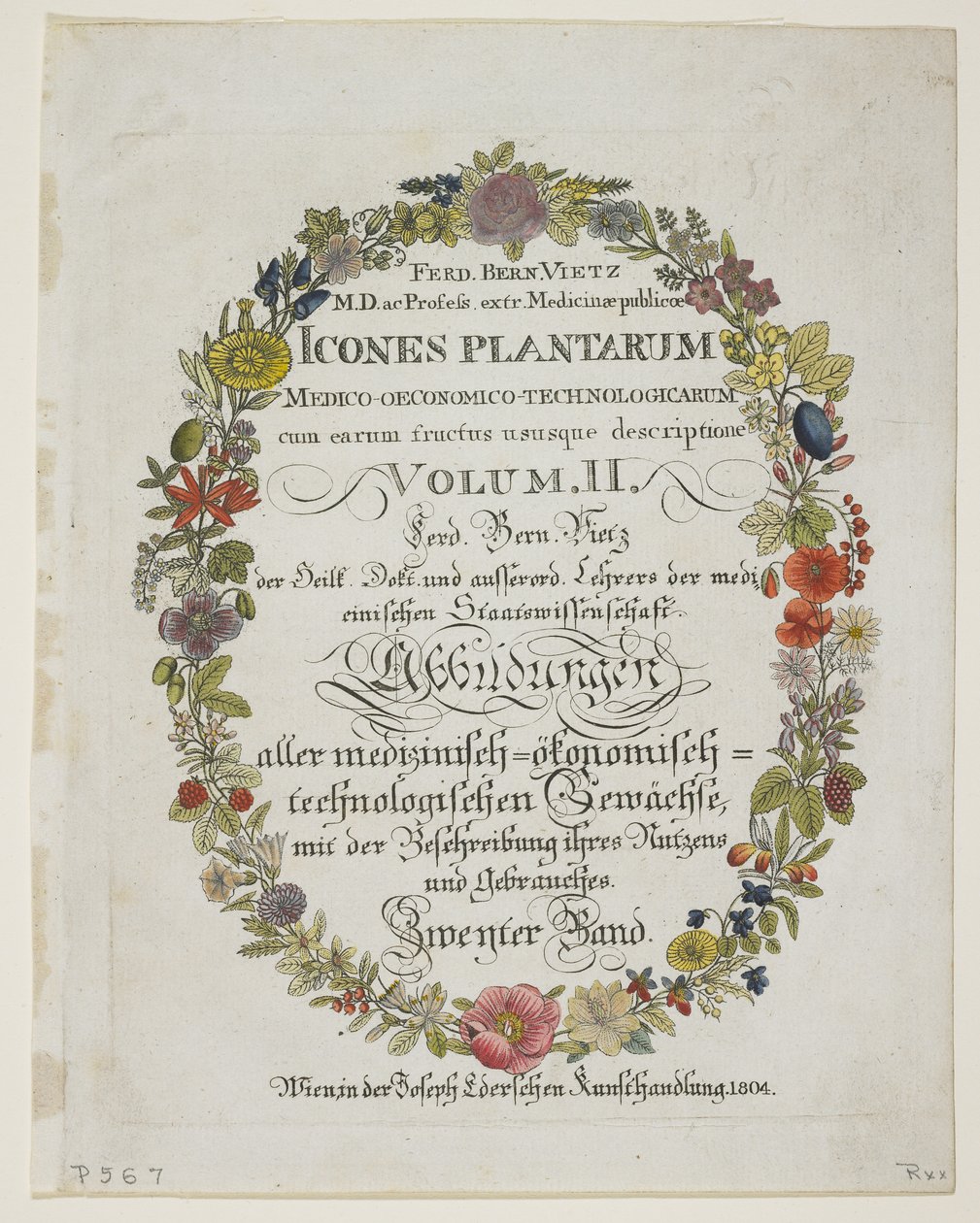 Frontispiece and Title Page, Vol. II, from Icones Plantarum Medico-Oeconomico-Technologicarum cum Earum Fructus ususque Descriptione, 1804 by Ferdinand Bernhard Vietz