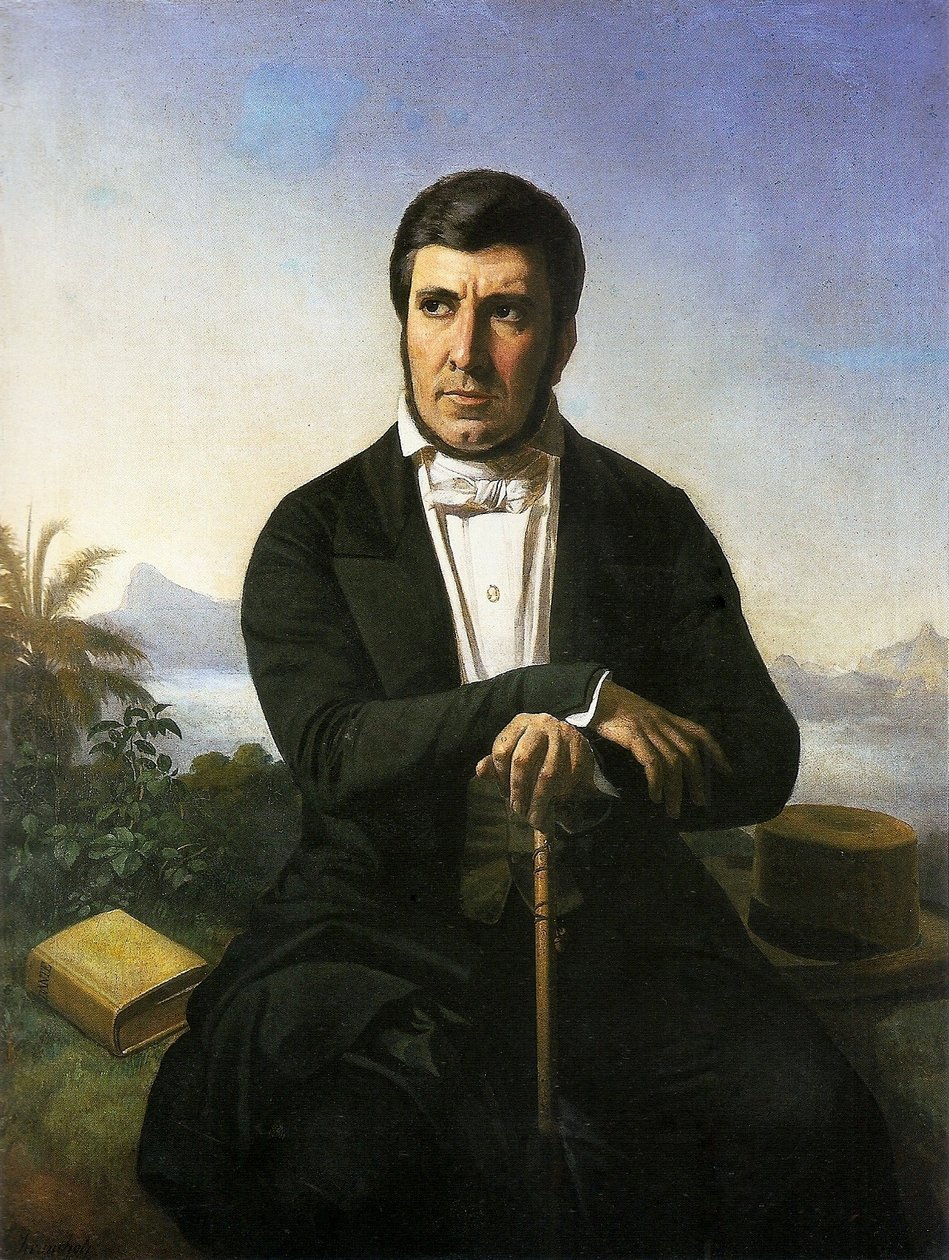 Portrait of Manuel de Araujo Porto-Alegre by Ferdinand Krumholz