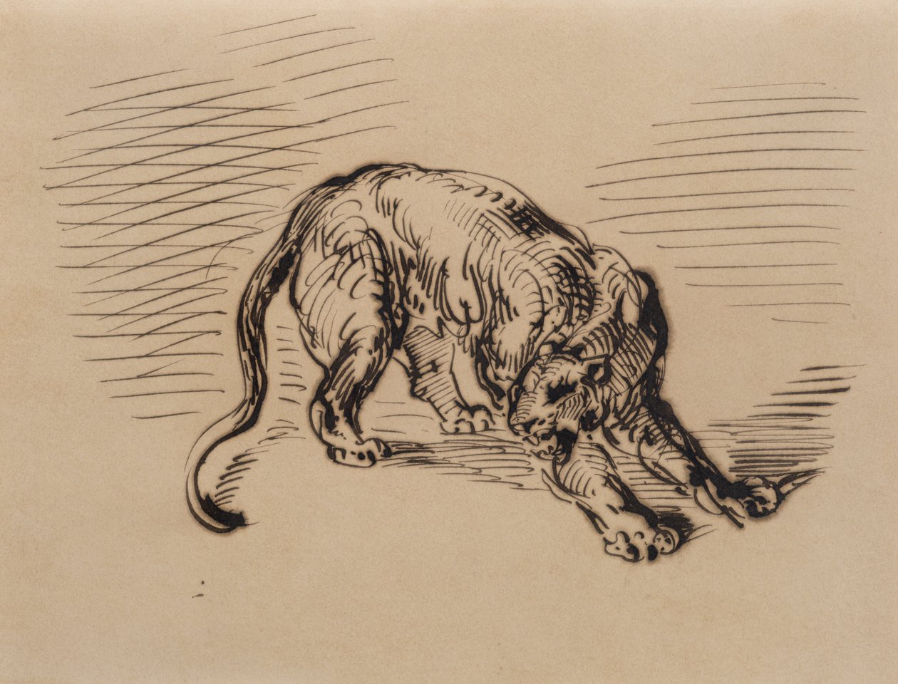 Tiger Frightened by a Snake, 1858 by Ferdinand Victor Eugene Delacroix