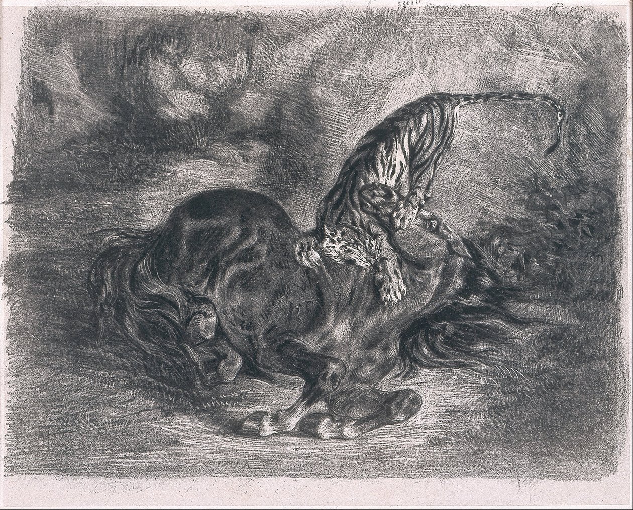 Wild Horse Felled by a Tiger by Ferdinand Victor Eugene Delacroix