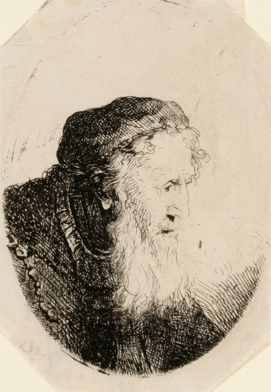 Old Man with Flowing Beard by Ferdinand Bol