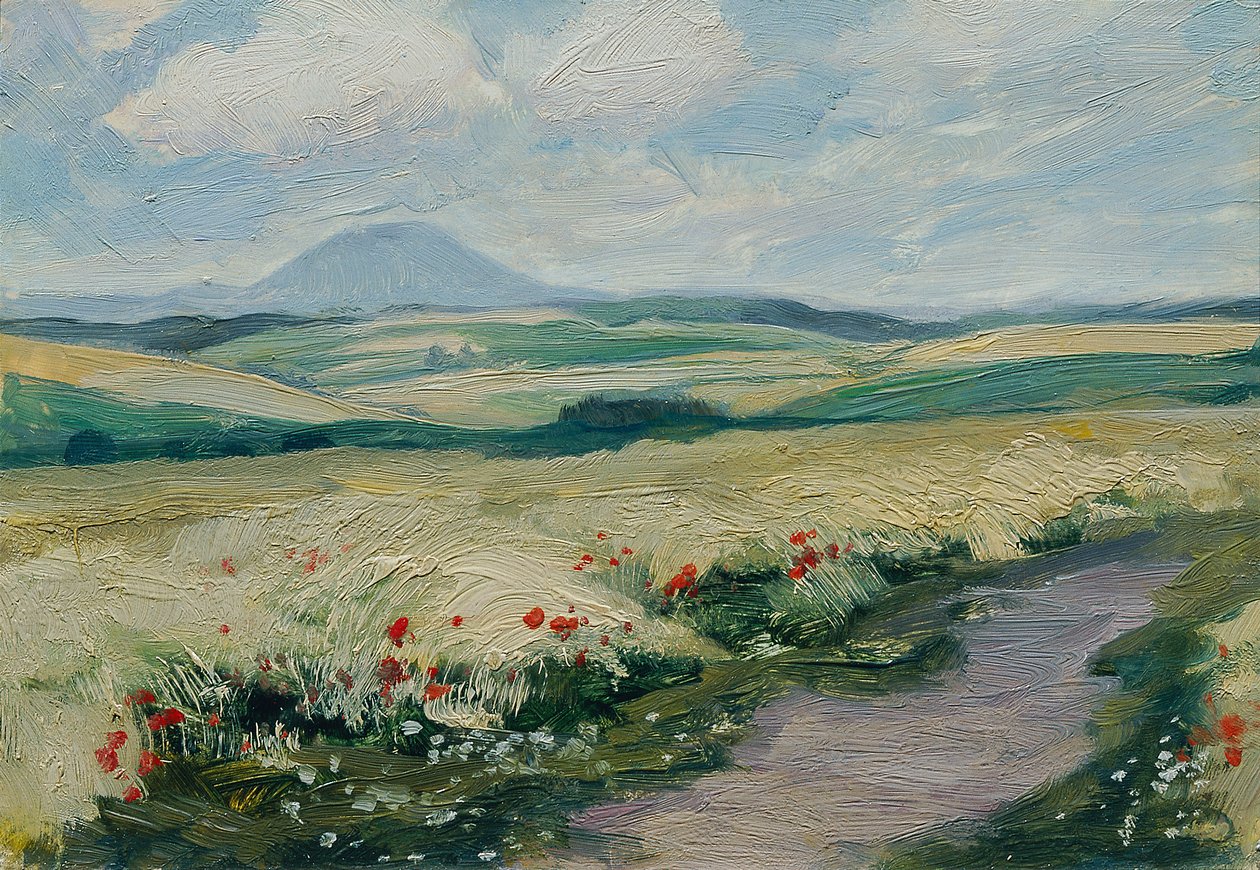 Podripsko (from the portfolio 
