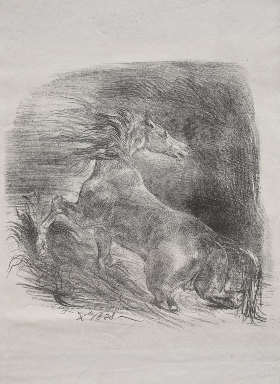 The Wild Horse, or Frightened Horse Leaving the Water, 1828 by Ferdinand Victor Eugene Delacroix