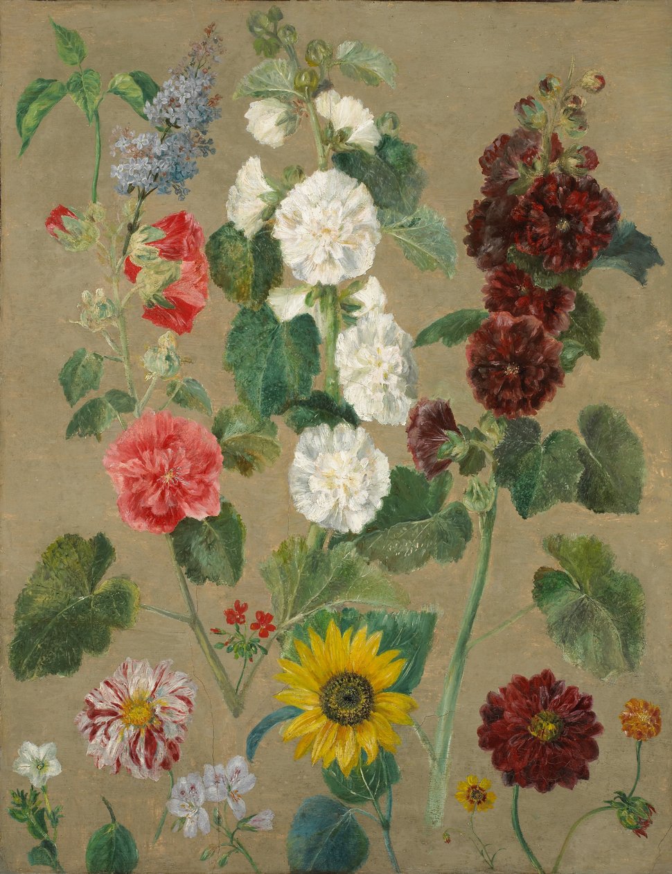 Untitled (Flowers) by Ferdinand Victor Eugene Delacroix