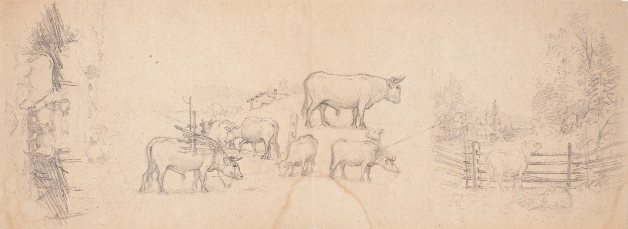 Various Sketches of Cows and Bulls by Ferdinand von Wright
