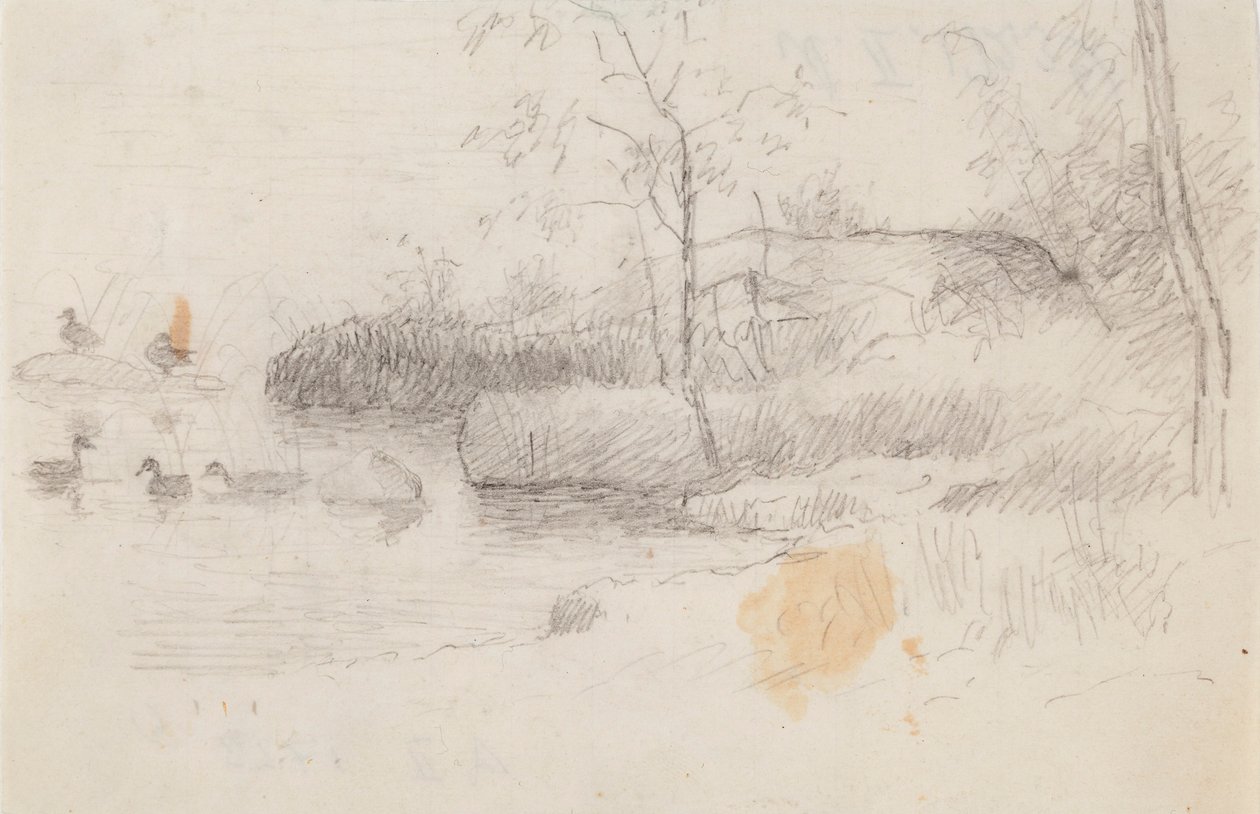 Landscape with Ducks by Ferdinand von Wright